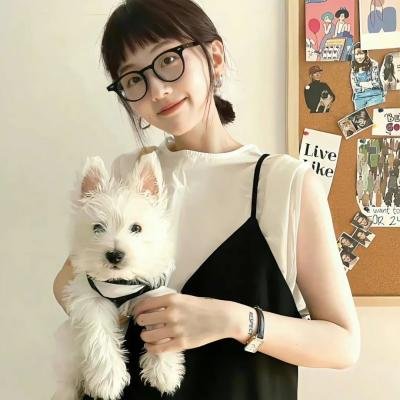 灿烂的外母粤语封面